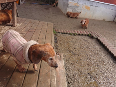 f:id:roukenhome-ann:20190129143256j:plain