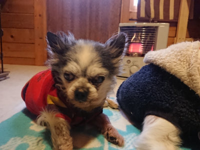 f:id:roukenhome-ann:20190129143314j:plain