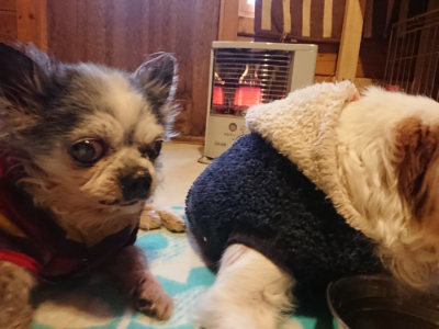 f:id:roukenhome-ann:20190129143321j:plain