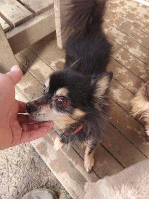f:id:roukenhome-ann:20190129143354j:plain