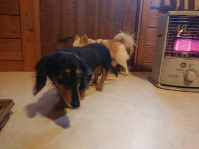 f:id:roukenhome-ann:20190129151502j:plain