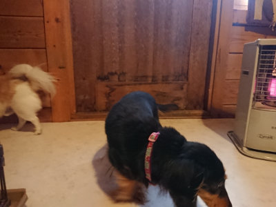 f:id:roukenhome-ann:20190129151516j:plain