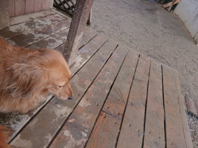 f:id:roukenhome-ann:20190129151546j:plain