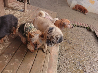 f:id:roukenhome-ann:20190129151556j:plain
