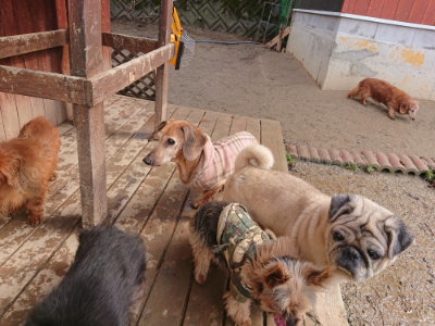 f:id:roukenhome-ann:20190129151711j:plain