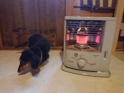 f:id:roukenhome-ann:20190129151731j:plain