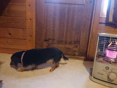 f:id:roukenhome-ann:20190129151758j:plain