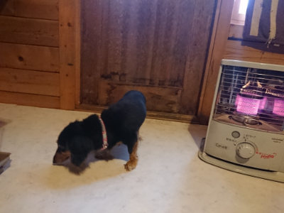 f:id:roukenhome-ann:20190129151803j:plain