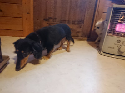 f:id:roukenhome-ann:20190129151820j:plain