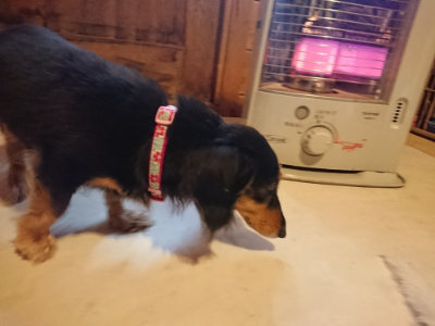 f:id:roukenhome-ann:20190129151950j:plain