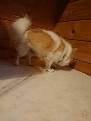 f:id:roukenhome-ann:20190129151959j:plain