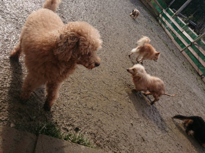 f:id:roukenhome-ann:20190129152012j:plain