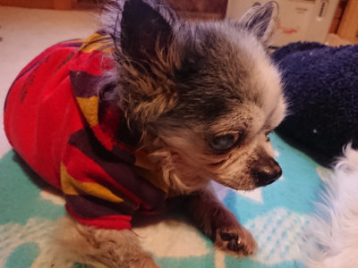f:id:roukenhome-ann:20190129152033j:plain
