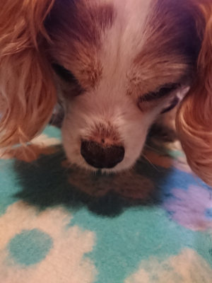 f:id:roukenhome-ann:20190129152141j:plain