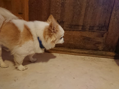 f:id:roukenhome-ann:20190129152147j:plain
