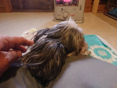 f:id:roukenhome-ann:20190129152214j:plain