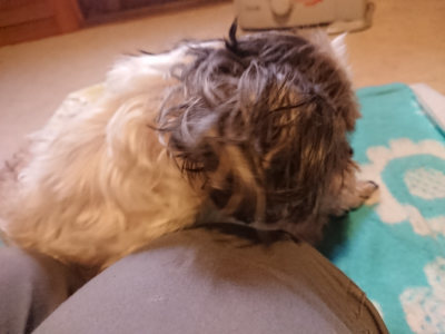 f:id:roukenhome-ann:20190129152219j:plain