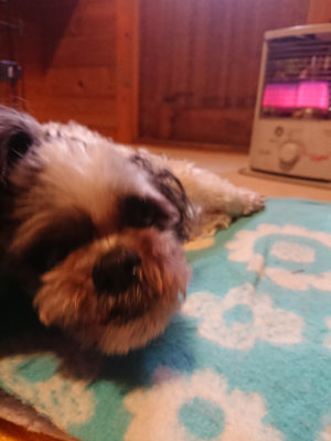 f:id:roukenhome-ann:20190129152233j:plain
