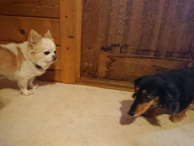 f:id:roukenhome-ann:20190129152246j:plain