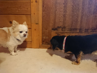 f:id:roukenhome-ann:20190129152251j:plain