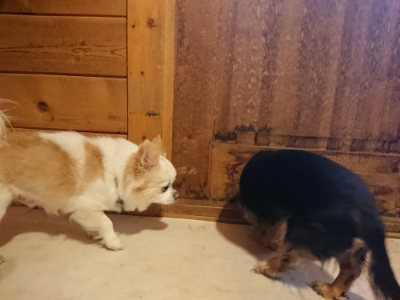 f:id:roukenhome-ann:20190129152258j:plain