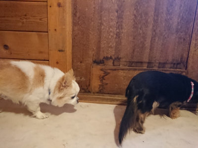 f:id:roukenhome-ann:20190129152319j:plain