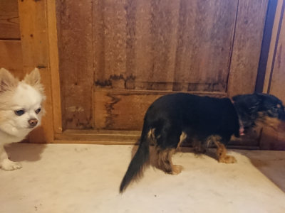 f:id:roukenhome-ann:20190129152325j:plain
