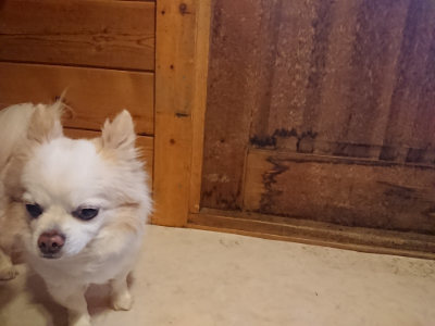 f:id:roukenhome-ann:20190129152329j:plain