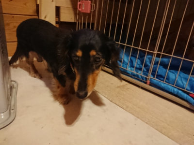 f:id:roukenhome-ann:20190129152337j:plain
