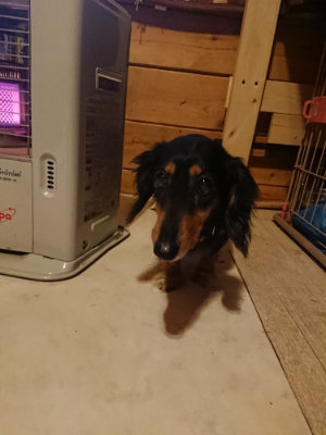 f:id:roukenhome-ann:20190129152342j:plain