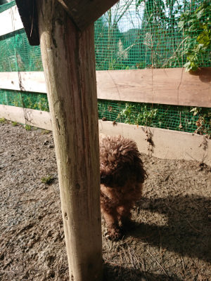 f:id:roukenhome-ann:20190130202442j:plain