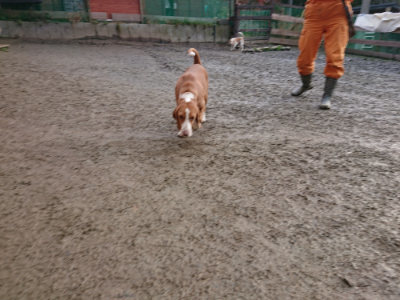 f:id:roukenhome-ann:20190130203430j:plain