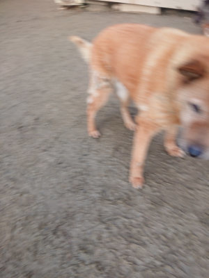 f:id:roukenhome-ann:20190130210003j:plain