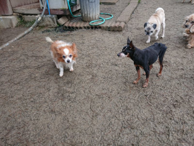 f:id:roukenhome-ann:20190201120317j:plain