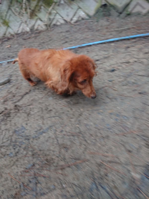 f:id:roukenhome-ann:20190201120327j:plain