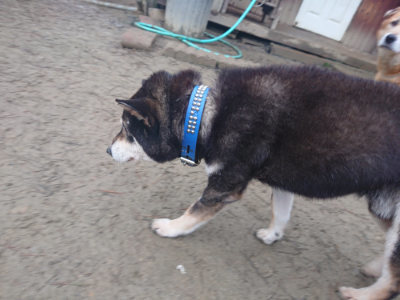 f:id:roukenhome-ann:20190201120402j:plain