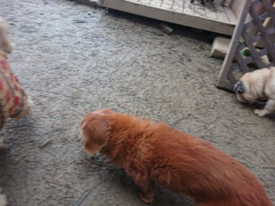 f:id:roukenhome-ann:20190201120442j:plain