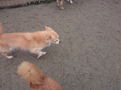 f:id:roukenhome-ann:20190201120522j:plain