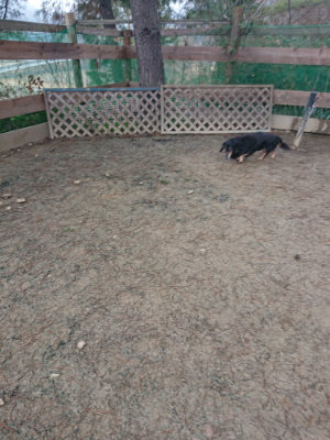 f:id:roukenhome-ann:20190201120539j:plain
