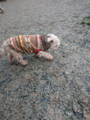 f:id:roukenhome-ann:20190201121309j:plain