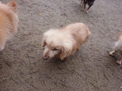 f:id:roukenhome-ann:20190201121412j:plain