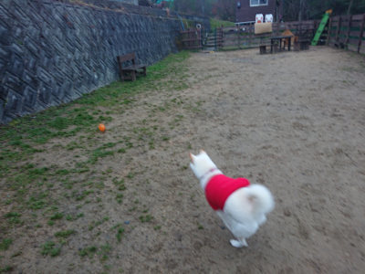 f:id:roukenhome-ann:20190201121417j:plain