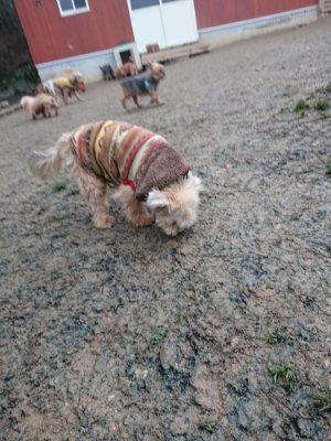 f:id:roukenhome-ann:20190201121444j:plain