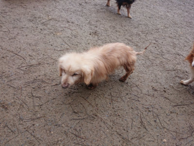 f:id:roukenhome-ann:20190201121456j:plain