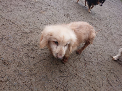 f:id:roukenhome-ann:20190201121503j:plain