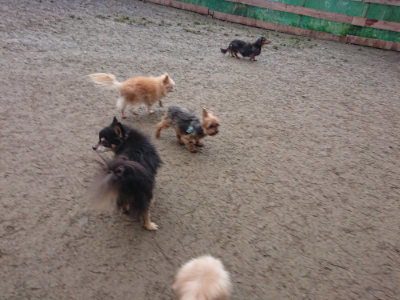 f:id:roukenhome-ann:20190201121627j:plain