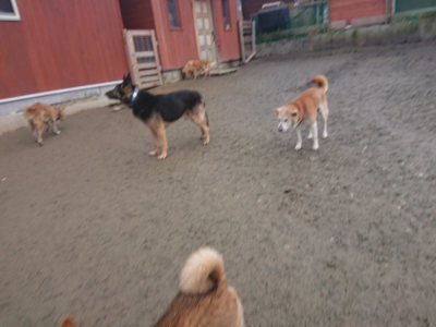f:id:roukenhome-ann:20190201122121j:plain