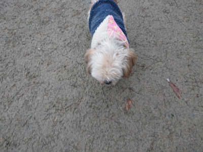 f:id:roukenhome-ann:20190201122127j:plain