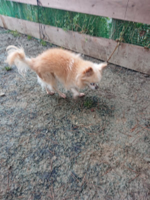 f:id:roukenhome-ann:20190201122216j:plain