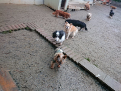 f:id:roukenhome-ann:20190201122226j:plain